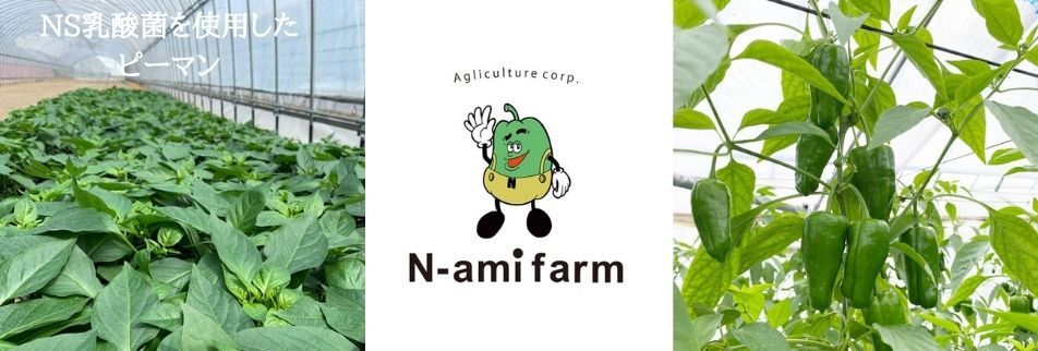N-ami farm 株式会社